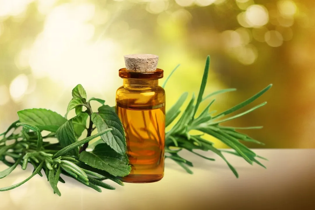 کی از ترکیبات طبیعی است که به دلیل خاصیت ضدعفونیکننده و ضد حشرهای، در شامپوهای طبیعی ضد شپش استفاده میشود.