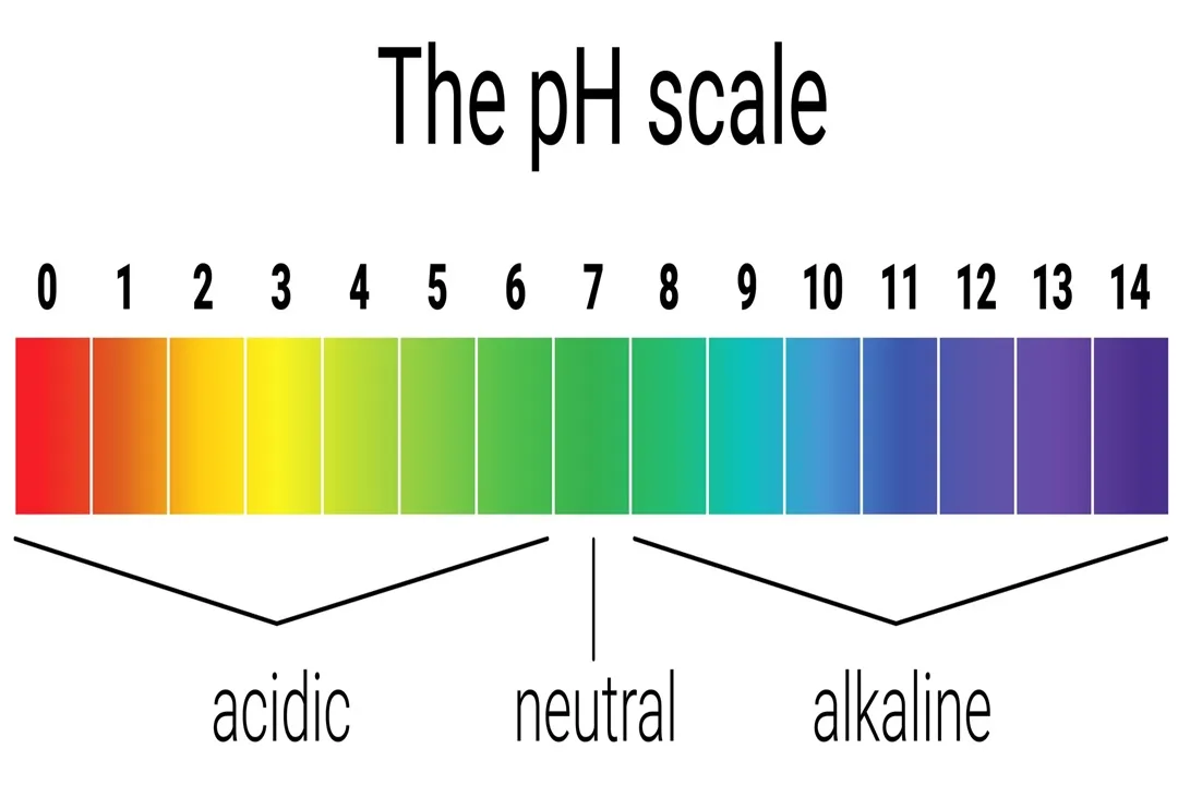 پس از شستشو، از تونر برای تنظیم pH پوست و سپس از یک مرطوب‌کننده سبک و فاقد چربی استفاده کنید.